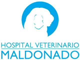 Hospital Veterinario Maldonado logo