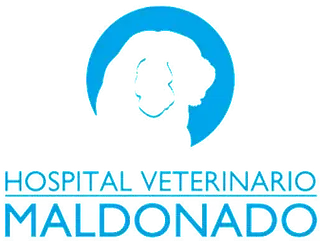 Maldonado Ruiz Ana Susana