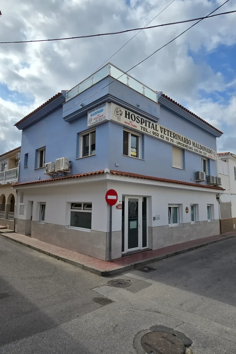 20250523_103026 20250523_103026