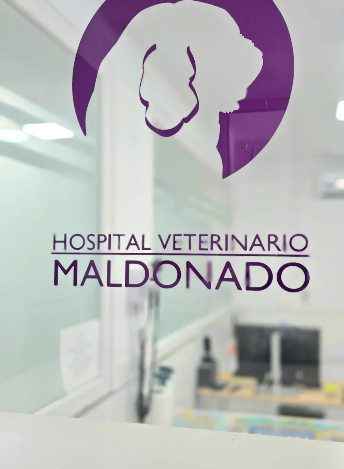 20250731_132444 20250731_132444