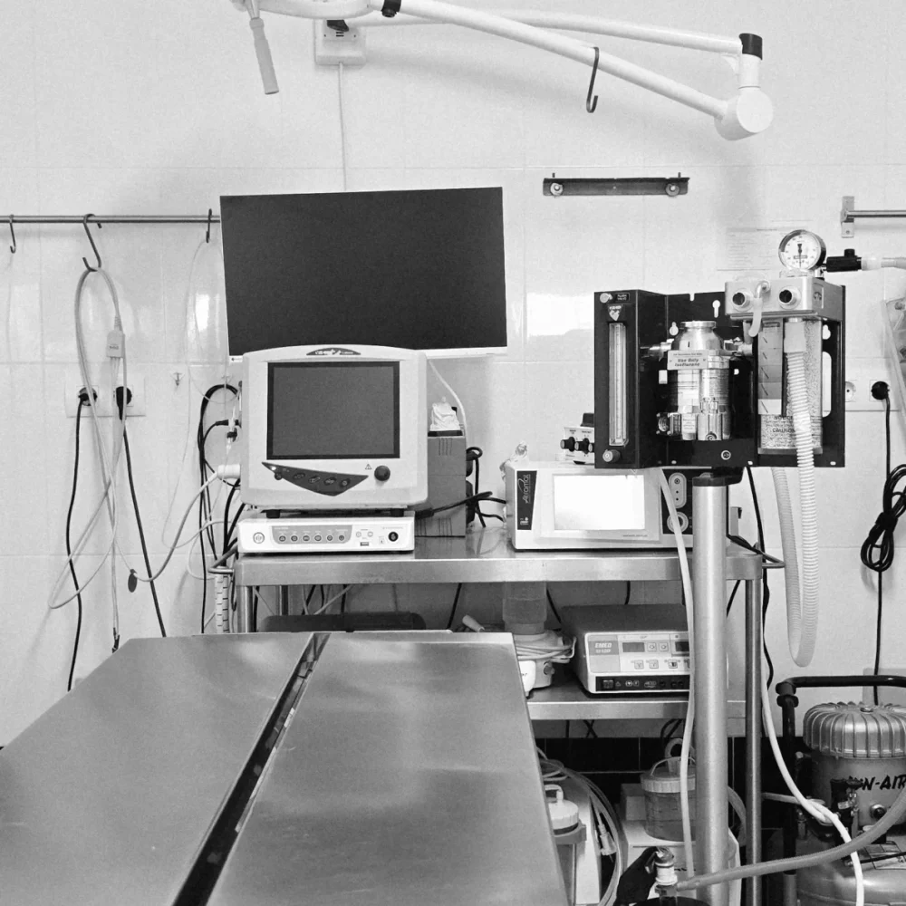 20250731_135126(0) 20250731_135126(0)