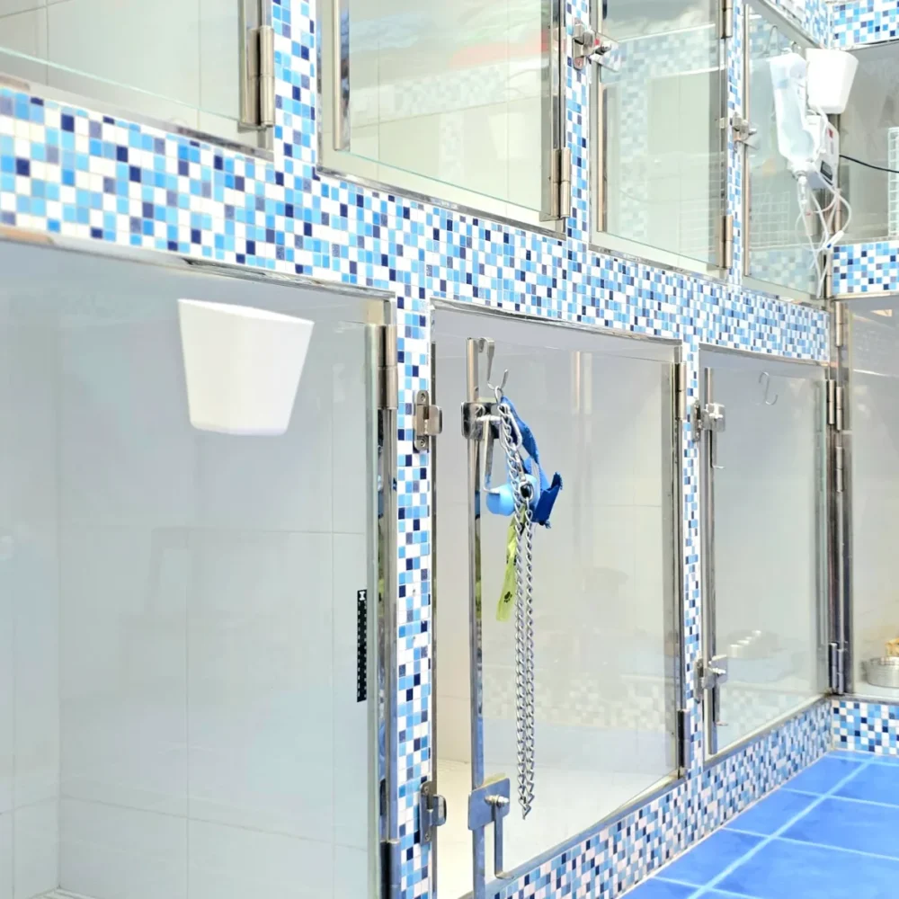 20250731_135752 20250731_135752