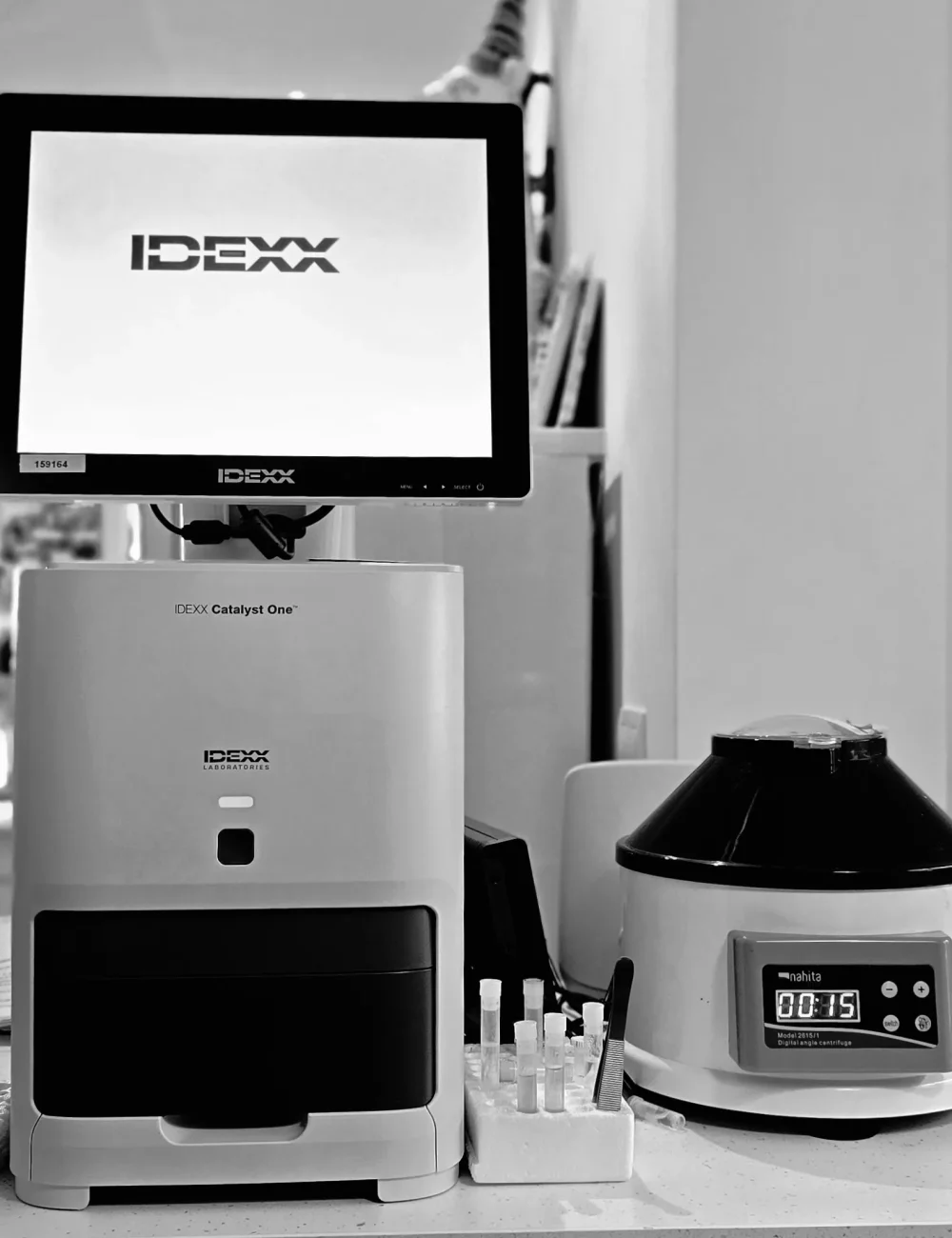 20250731_140157 20250731_140157