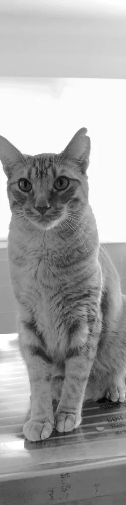 IMG-20250801-WA0074 IMG-20250801-WA0074