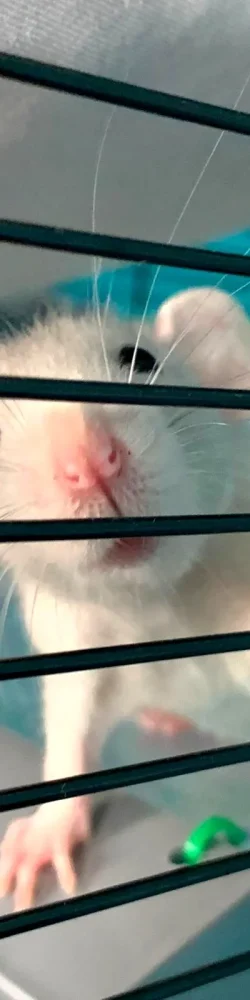 IMG-20250801-WA0127 IMG-20250801-WA0127